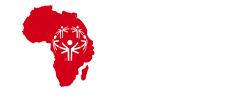 Pan African Games